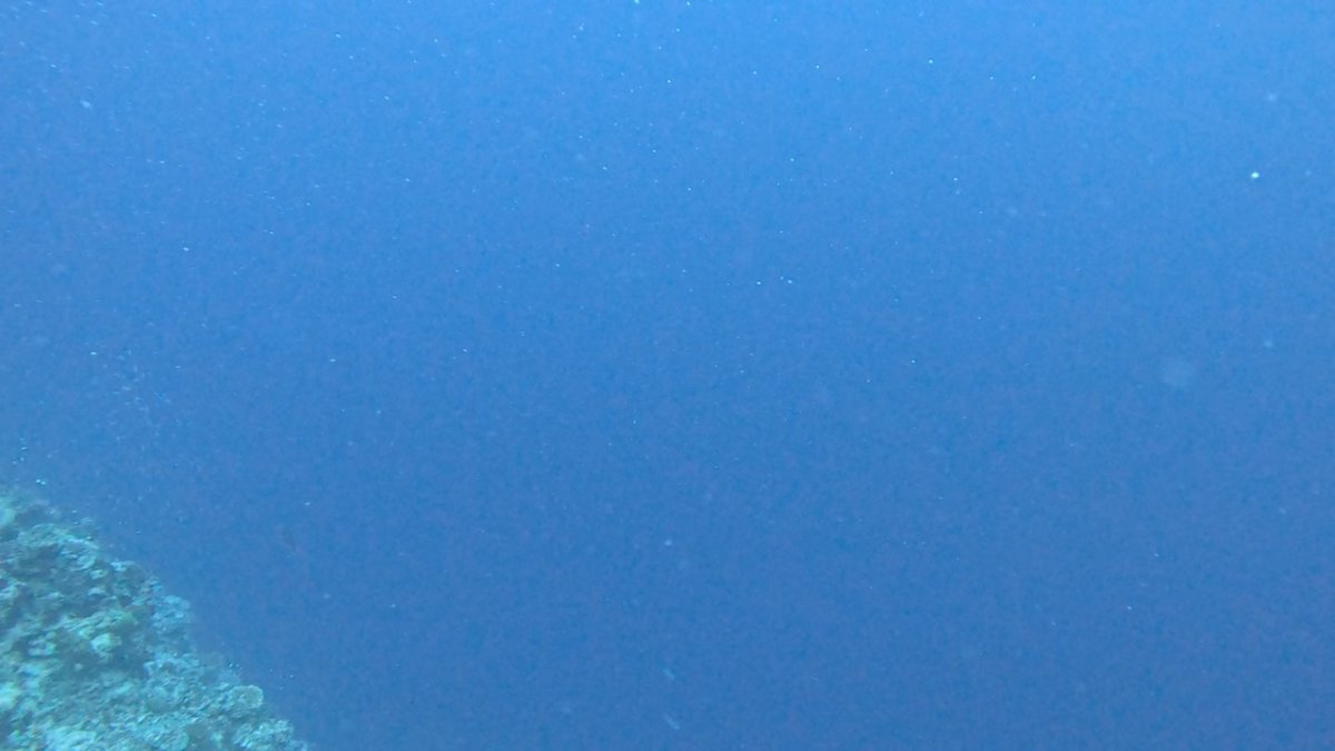 upload.mov