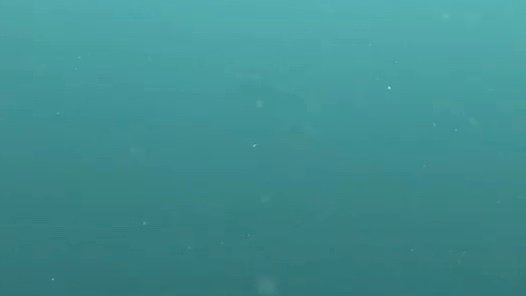 upload.mov